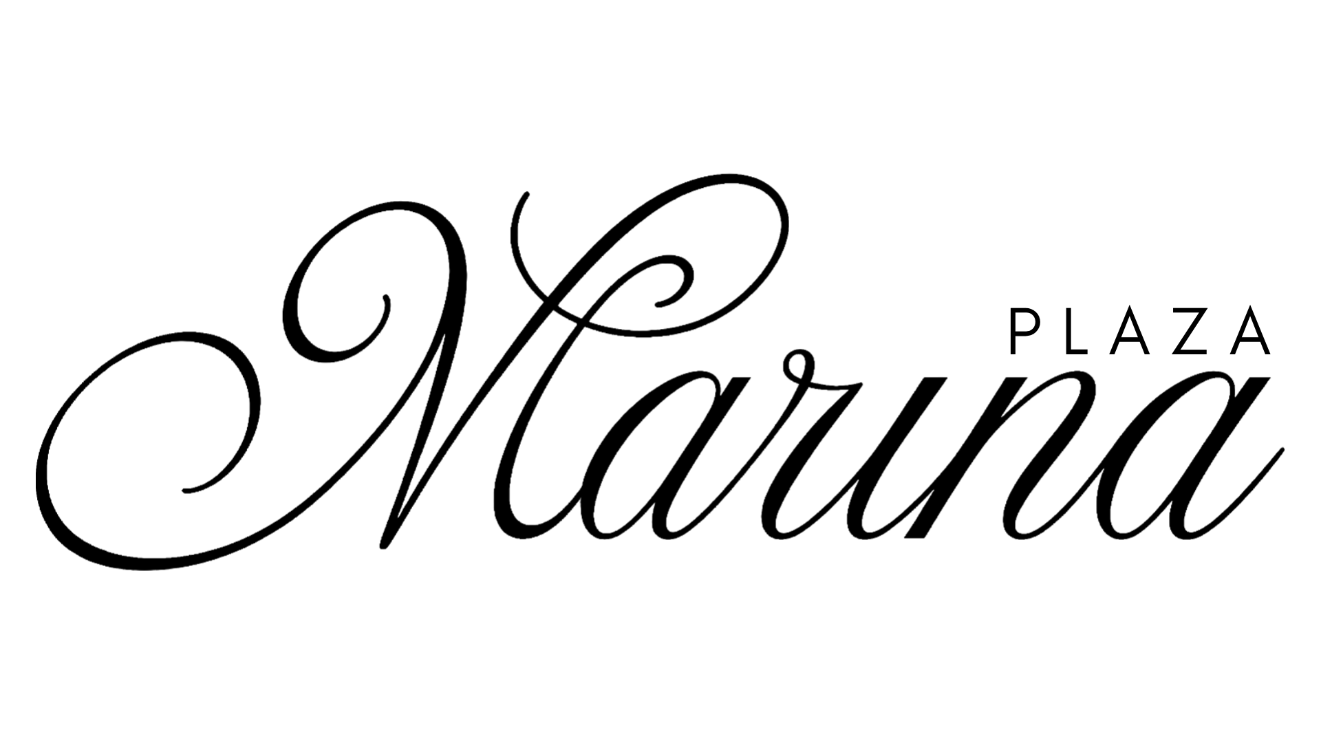 Logo Plaza Marina